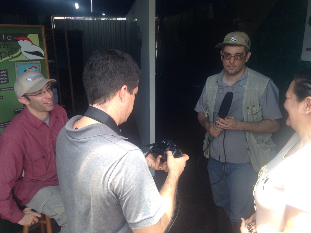 DjLebbin's tweet photo. Shooting an interview in English and Portuguese about the Araripe Manakin encouraging people to protect habitat. https://t.co/aAtJiYLxpz