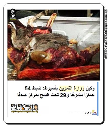 وكيل وزارة التموين بأسيوط: ضبط 54 حمارًا مذبوحًا و29 تحت الذبح بمركز صدفا