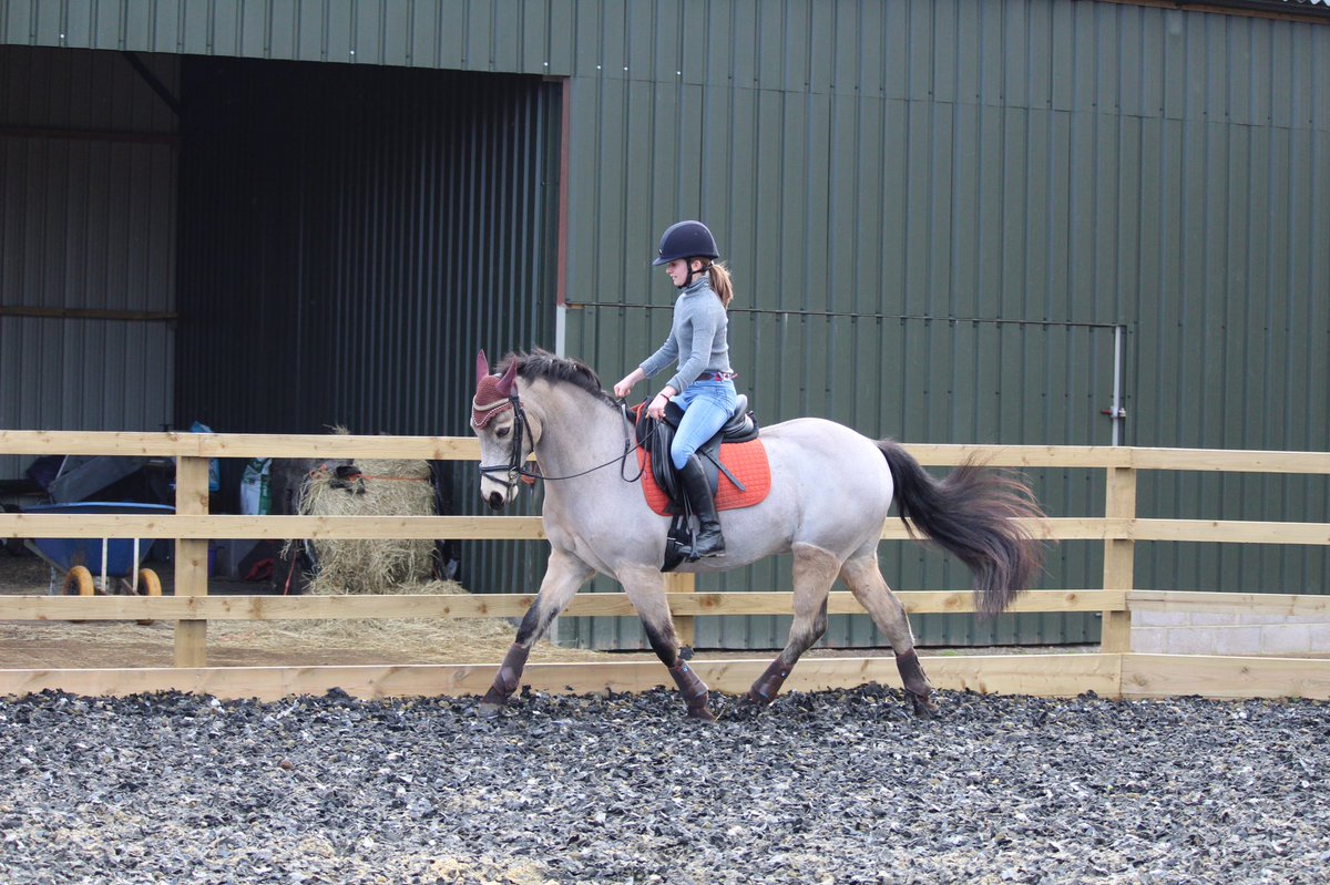 Over the moon that Donny and I have qualified for Addington champs at our first comp since September! ❤