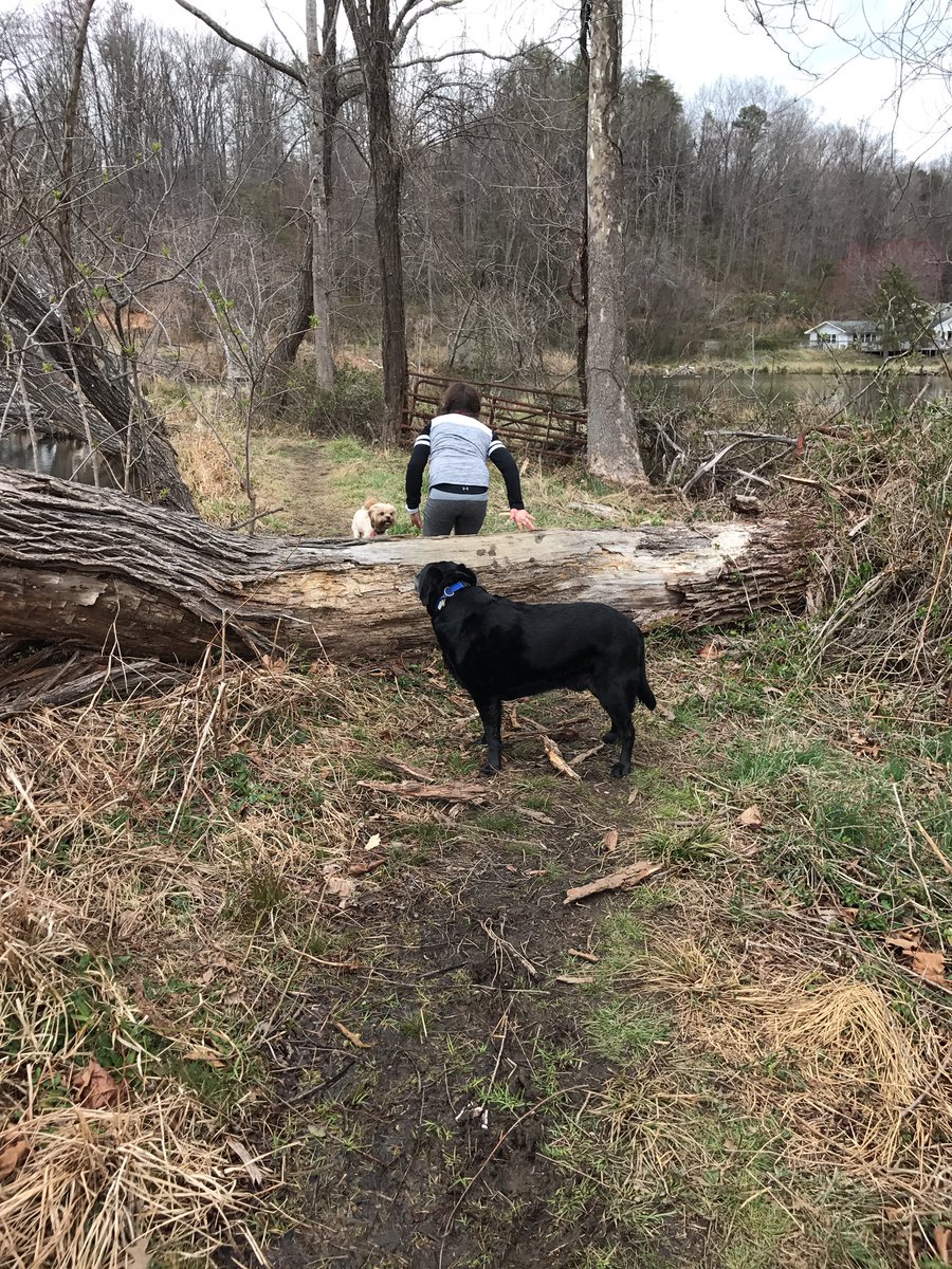 EWachacha's tweet photo. #HellYeahSpring #DogMom #FirstDayOfSpring #SpringIsHere https://t.co/L4FHm5qhC9
