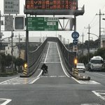 首都高をおじいちゃんが自転車で爆走…!？坂を上る姿がシュールすぎてやばい!