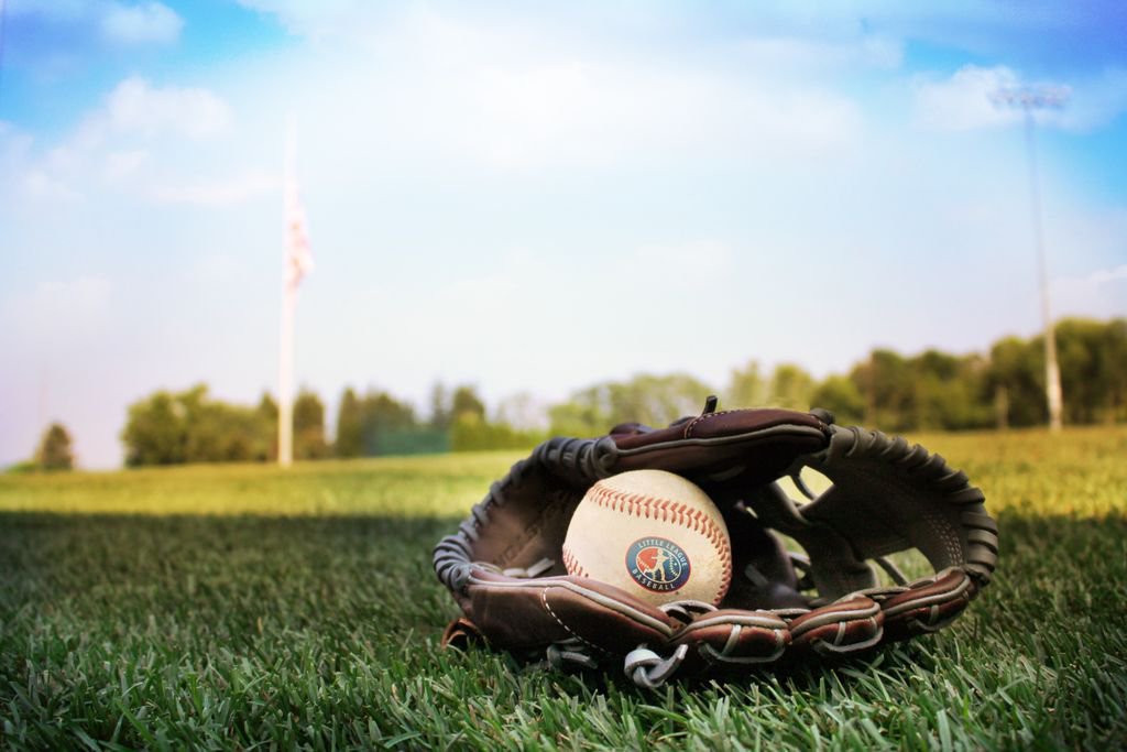 LittleLeague tweet picture