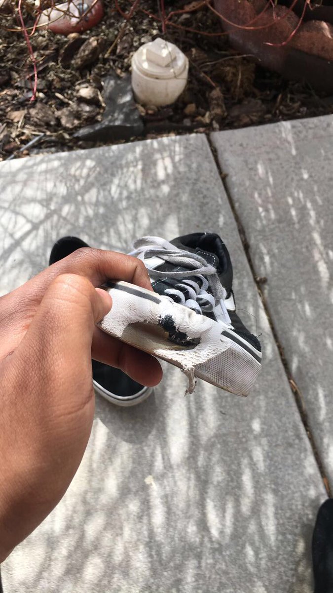 NomadaConHogar's tweet photo. #RipVans https://t.co/tRyxIgmsY8