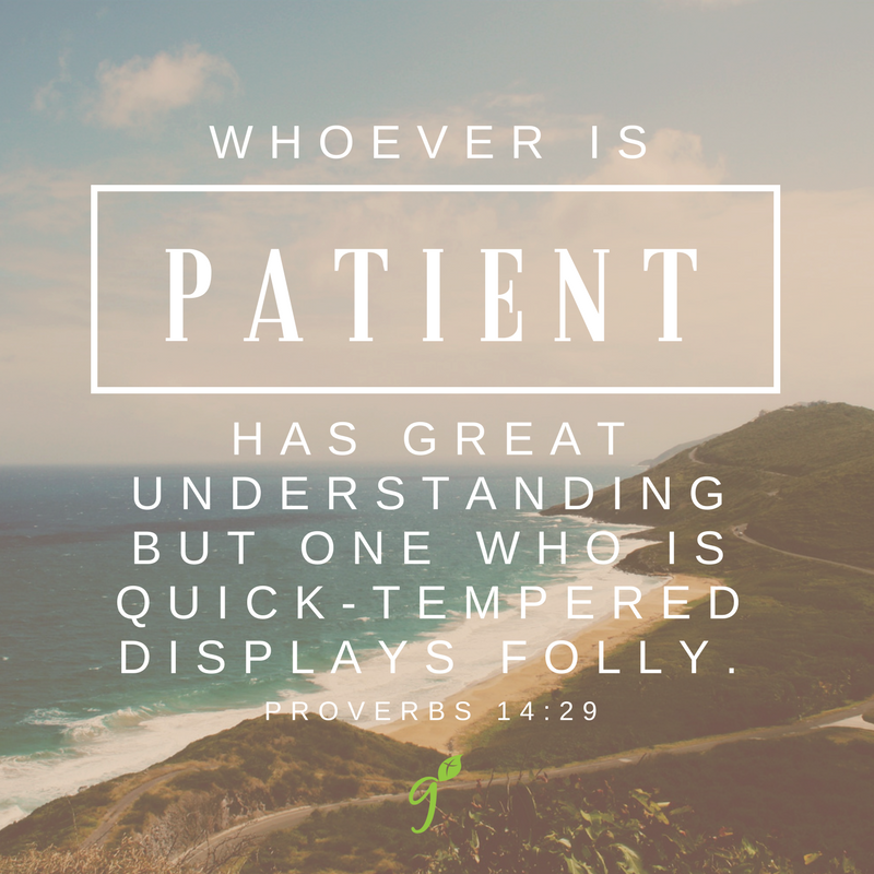 GodRevealsOurWy's tweet photo. Happy Spring! Let's dig deep together into Week 3 of our March #GrowGuide - Patience Develops Wisdom.
#getgrowbox #growguide #GodlyGrit https://t.co/lfnimCNYd1