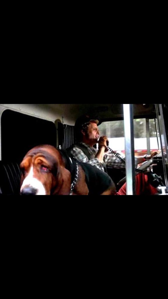 Happy birthday, Jerry Reed! Ya always make me smile. RIP, Snowman!! 