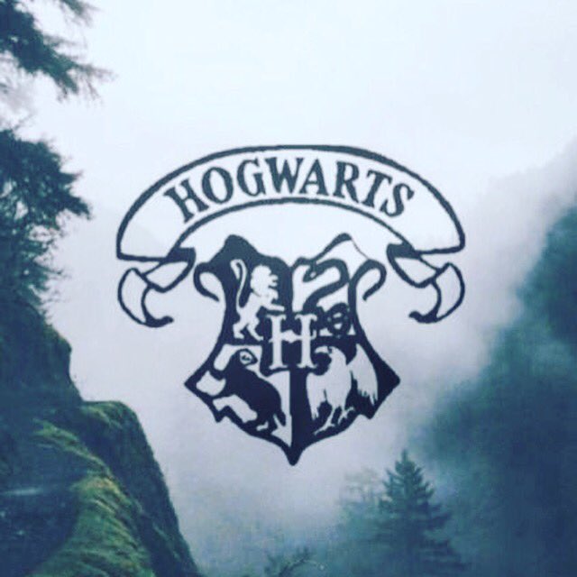 tomfirebomb's tweet photo. Hogwarts is our home ❤ creds to the creator ❤ #HarryPotter #hp #hogwarts #hogwartsforever #hogwartsisourhome 
~🌹 https://t.co/QbRwiNFUbJ