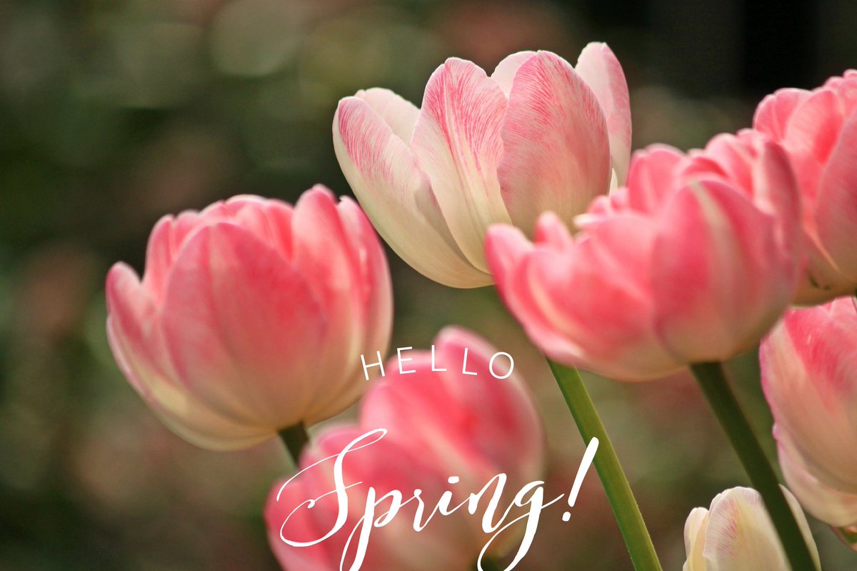 FriendsofKylie's tweet image. Springtime!👒