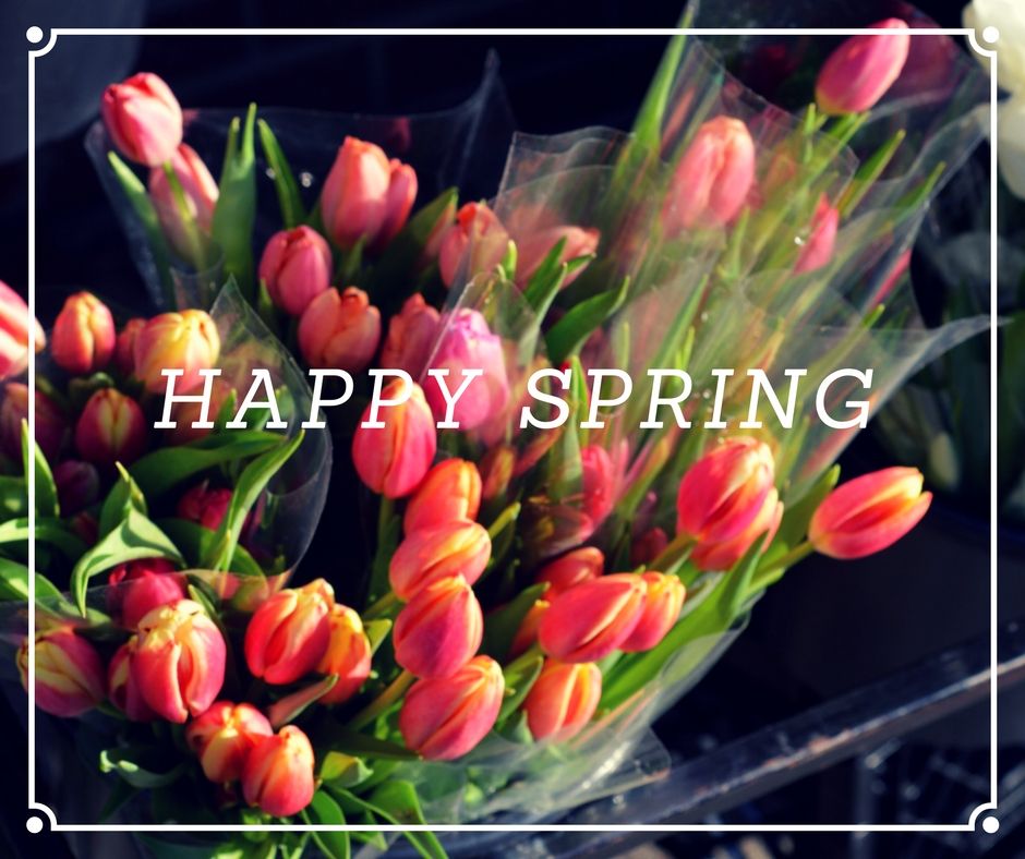 jcweknoweach's tweet photo. Happy #Spring friends and family! We hope the start of this season bring much happiness to everyone. See you at the next #JCWeKnow #Toronto https://t.co/yeCu1ZLvih