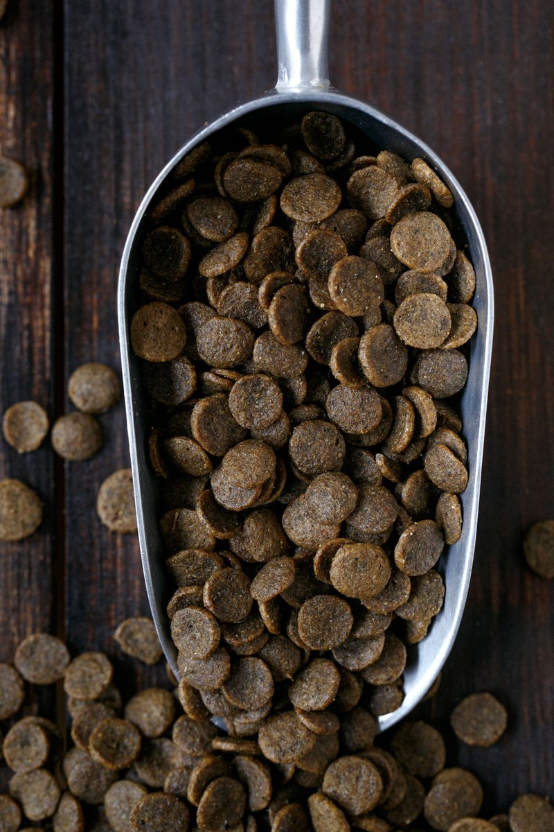PWSpringfieldMO's tweet photo. We have grain-free blends for your dog! Check out https://t.co/bQbOtPizD0 #glutenfree #dogs https://t.co/KGIPM5G5mO