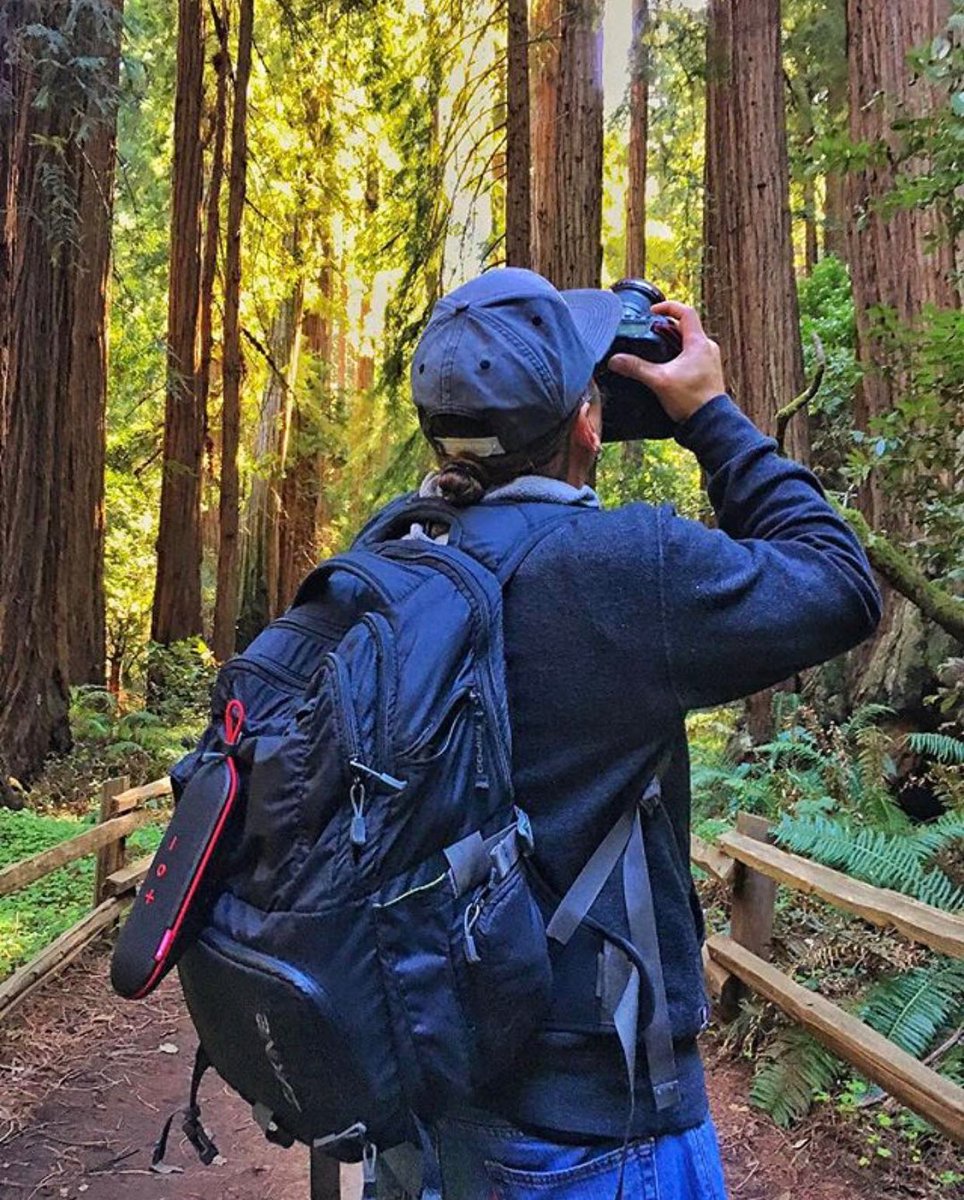 FUGOOlife's tweet photo. "Always traveling with my @fugoolife Go. " @ikaika.poki
π· @farrinpoki #redwoods #fugoo https://t.co/3gl1wn0Qqj