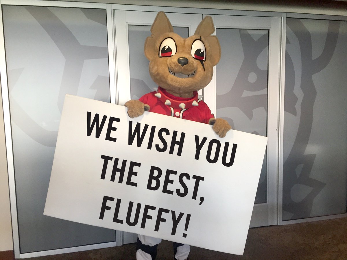 epchihuahuas's tweet photo. @fluffyguy From the Chihuahuas! https://t.co/LQpXcuRI2l