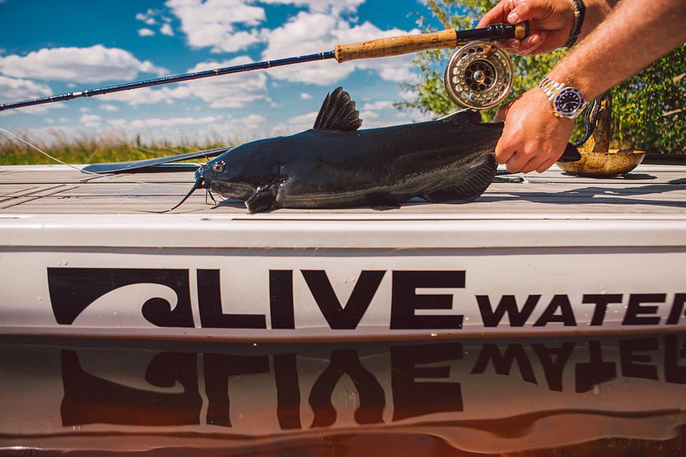 "Many go fishing all their lives without knowing that it is not fish they are after."
~ Henry David Thoreau