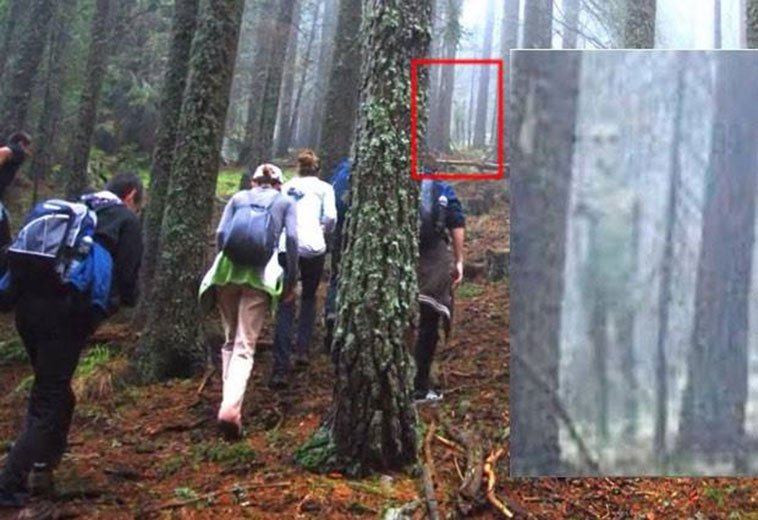 hectorlocutor's tweet photo. #NocheParanormal | LAS FOTOS DE LA DEEP WEB | Entidad Oculta en el Bosque | Parece que alguien está esperando a los excursionistas https://t.co/EgD6sepcWq