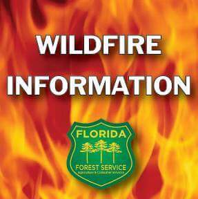 FFS_Withlacooch's tweet photo. #Turkeytrail fire in Holder Citrus CO. 4 acres 60% contained crews still on scene cause incendiary. https://t.co/7qChpmJvwy