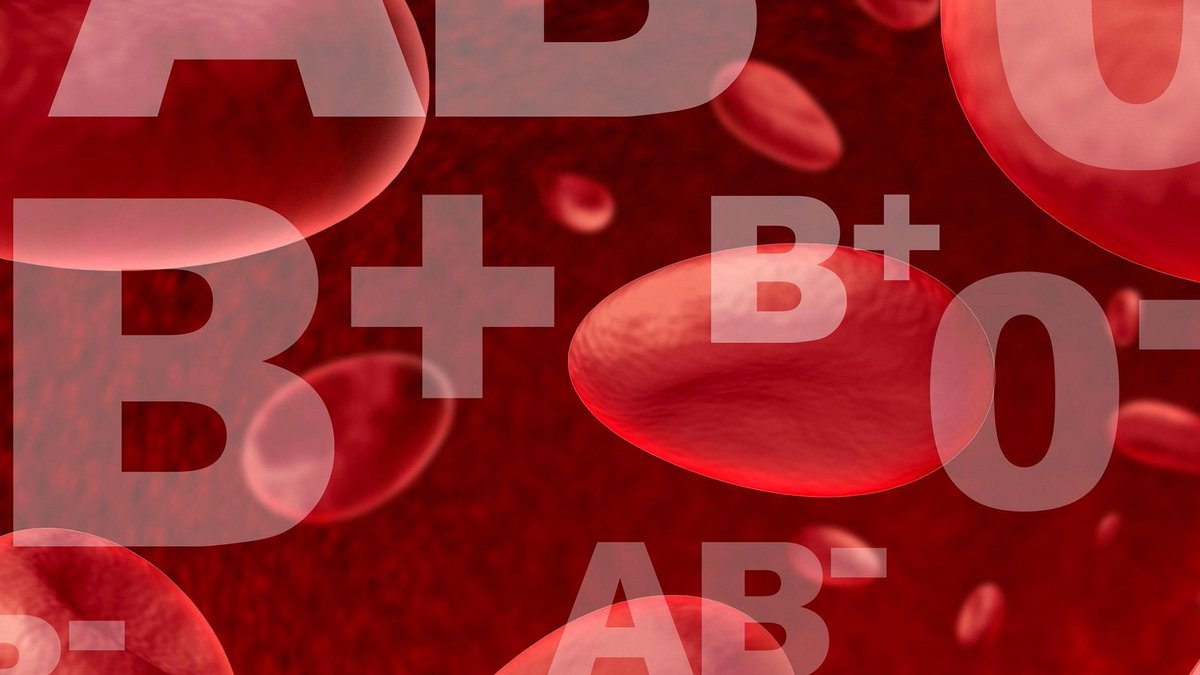 ankapestcontrol's tweet image. Sivrisinek Kimleri Daha Çok Isırıyor? Nasıl Ayırt Edebiliyor? tinyurl.com/ly82ply