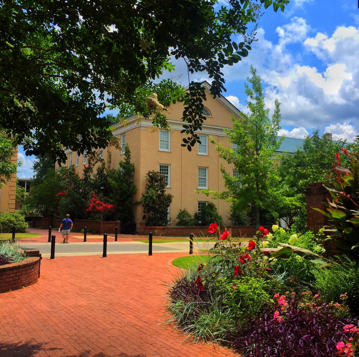 UofSC's tweet photo. The first day of #Spring on campus was a sweet one. For more reasons than one. 🌷🏀 #UofSC https://t.co/4YTgnE2UXM