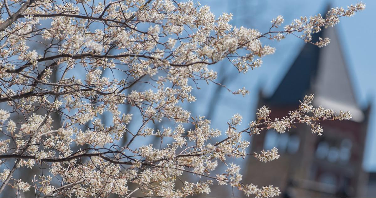New #spring <a href="/UofNH/">University of New Hampshire</a> photos have been posted for SocialCats to share! Not signed up yet? Ask me how #UNH #UNHSocial - sot.ag/638FC
