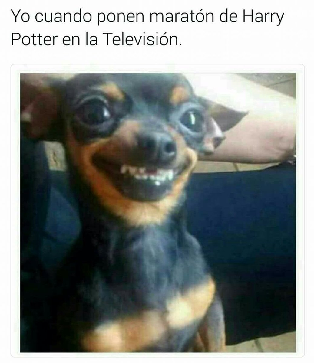 imaginepotter's tweet photo. ❤😂 https://t.co/mmclFDnyzf