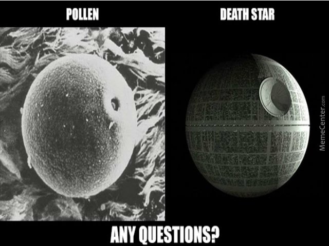 We clean #pollen off cars.
#Shreveport #WhatIsYourWashDay
snappyscrubscarwash.com