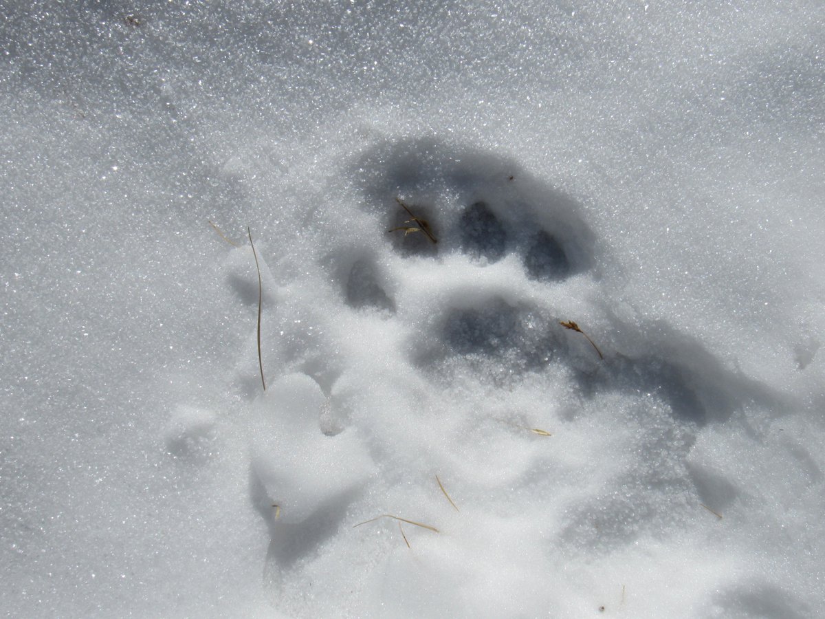 Katey Duffey tweet media