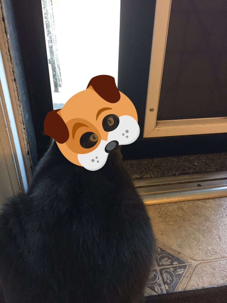 wrightcomedy's tweet image. 