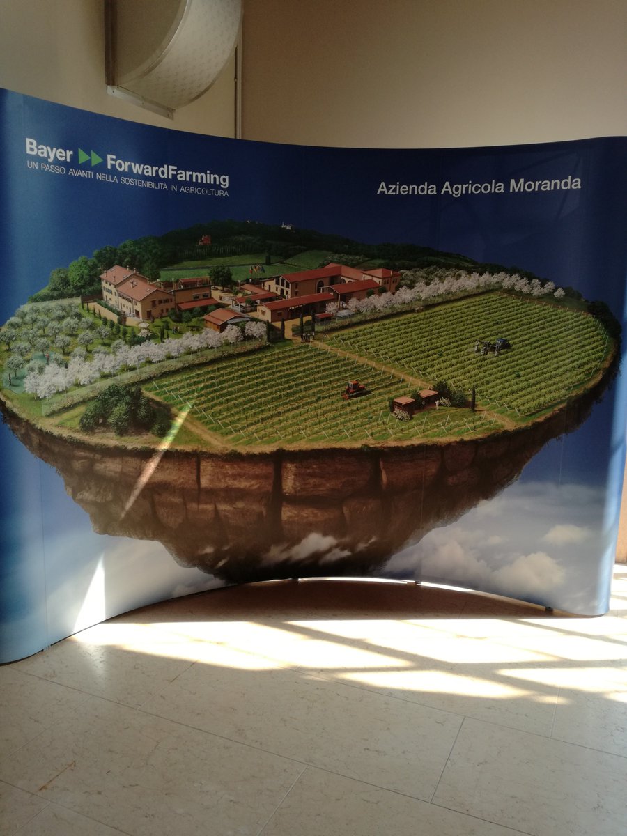 Cobornews's tweet photo. Presentazione #stampa progetto mondiale #Bayer #ForwardFarming @BayerItalia alla Azienda Agricola #Moranda di #Verona #agrofarma #vino #wine https://t.co/V6Iad4DUWN
