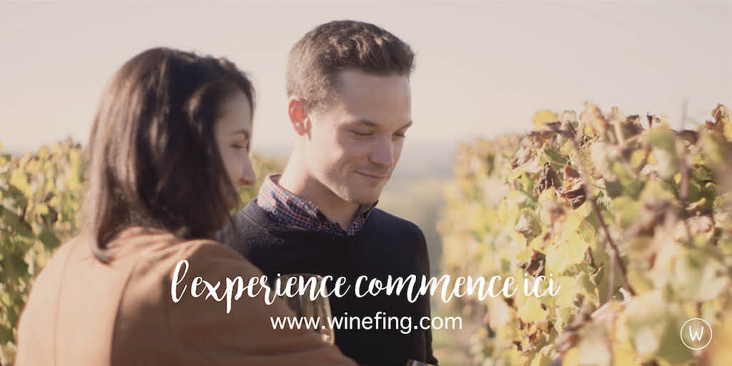 Winefing tweet media