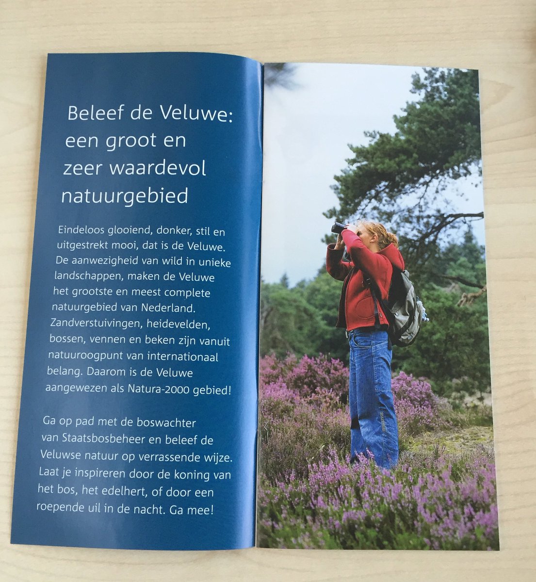 LennardJasper's tweet photo. De activiteitenfolder Veluwe 2017 is klaar. Binnenkort bij informatiepunten verkrijgbaar. Dank @MoBoswachter voor je inzet. https://t.co/Gwlce5nTV9
