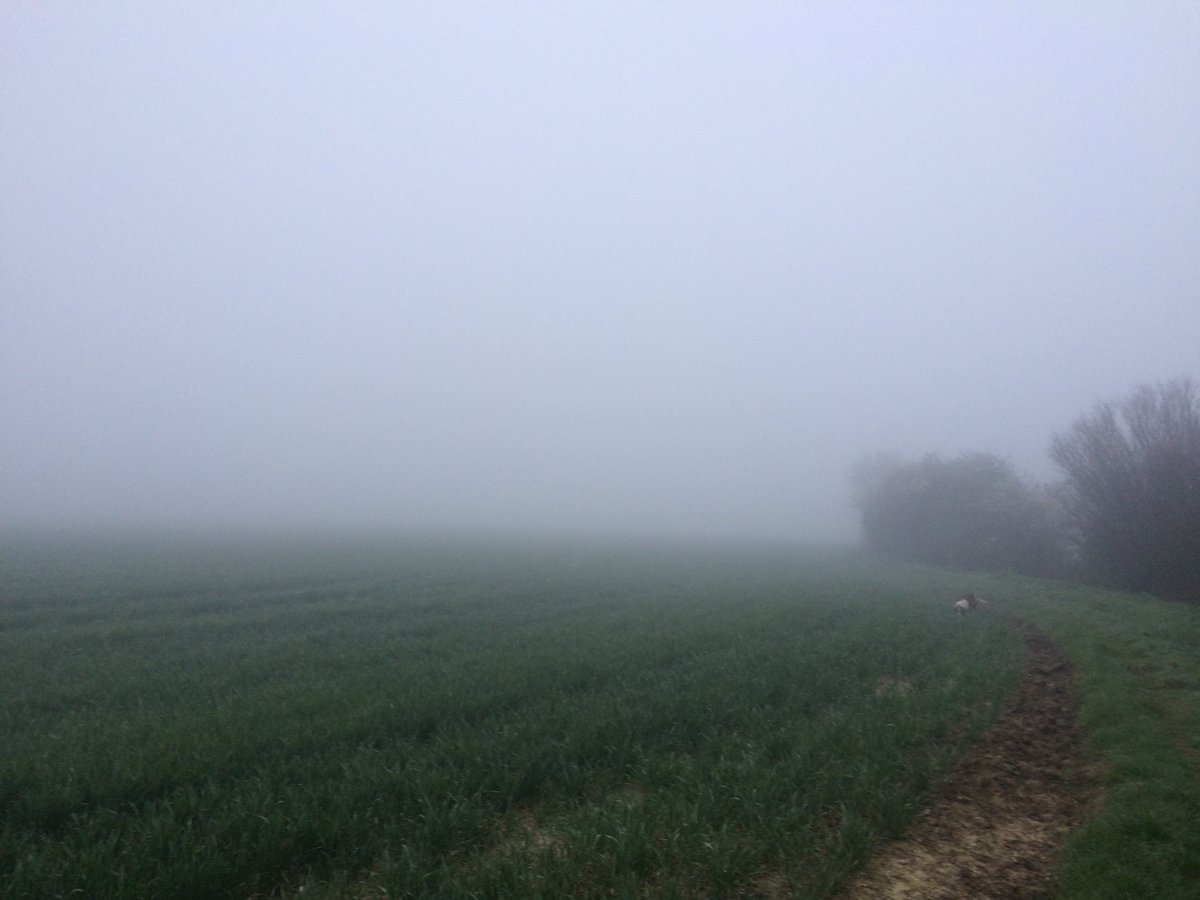 iobookkeep's tweet photo. @wictonfarm same here in Essex. There is a springer spaniel in the picture...somehow. Much brighter now though! https://t.co/OaBH7wmDC5