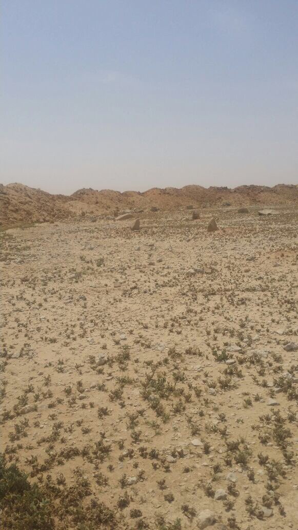 Ruwayghib's tweet photo. ٢- بعد اندثار العقوم القديمة حفاظًا على كرامة الموتى ، وعمل دراكيل رفيعه تمنع البهائم من تجاوزها. https://t.co/WCsTulxHwI