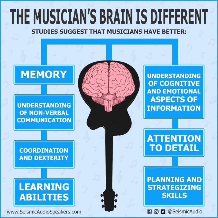 EastwoodGuitars's tweet photo. Are you a #musician? Well some studies seem to show your brain might be different! Agree? Disagree? #Science #facts https://t.co/eWzRlFXoG8