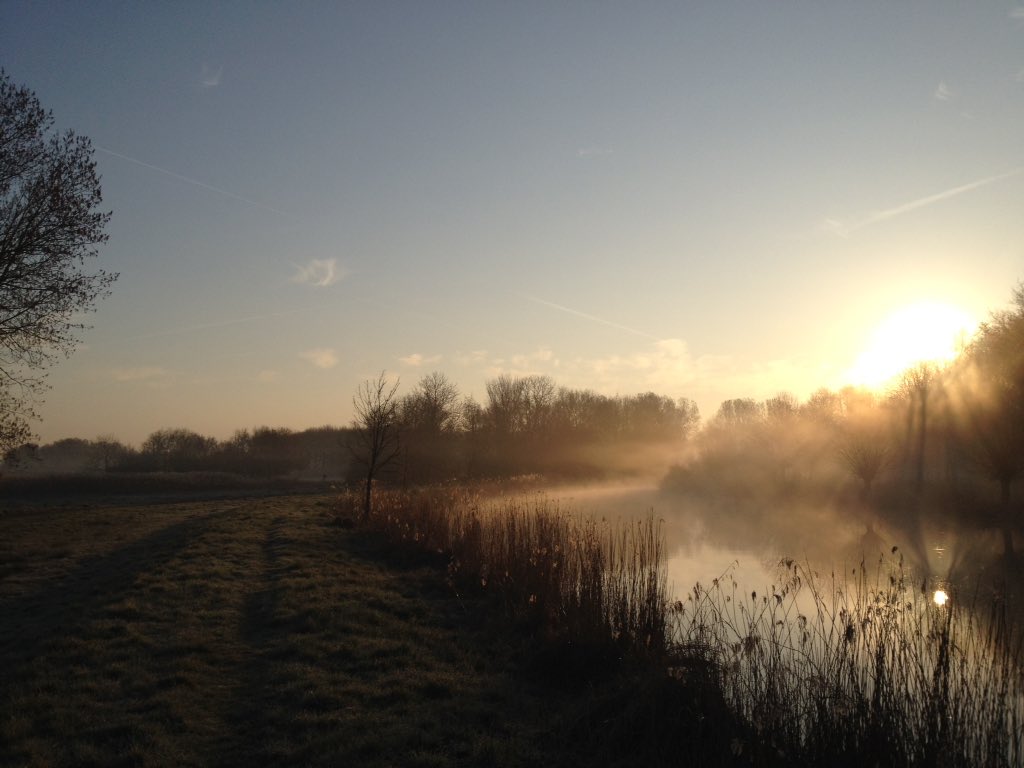 Bron: Dorien Reiche