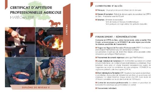 agendaducheval's tweet photo. #cheval #formation #CAPA #MarechalFerrant #GersFamily #Gers @NvelleAquitaine @Occitanie #MidiPyrenees
INFOS +++ https://t.co/b92RtEjoLO https://t.co/veyIcPiaUh