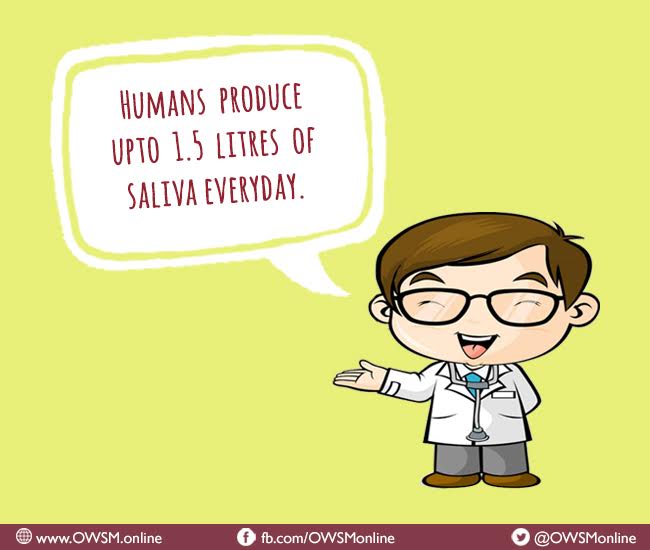 OWSMonline's tweet photo. #DidYouKnow that humans produce 1.5 litres of #saliva everyday? Well now you know. #dental #dentalhealth #dentist #teeth #tooth #facts https://t.co/BwwxoBwrpT