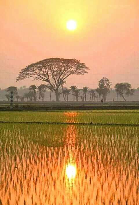 Pothik756 tweet picture