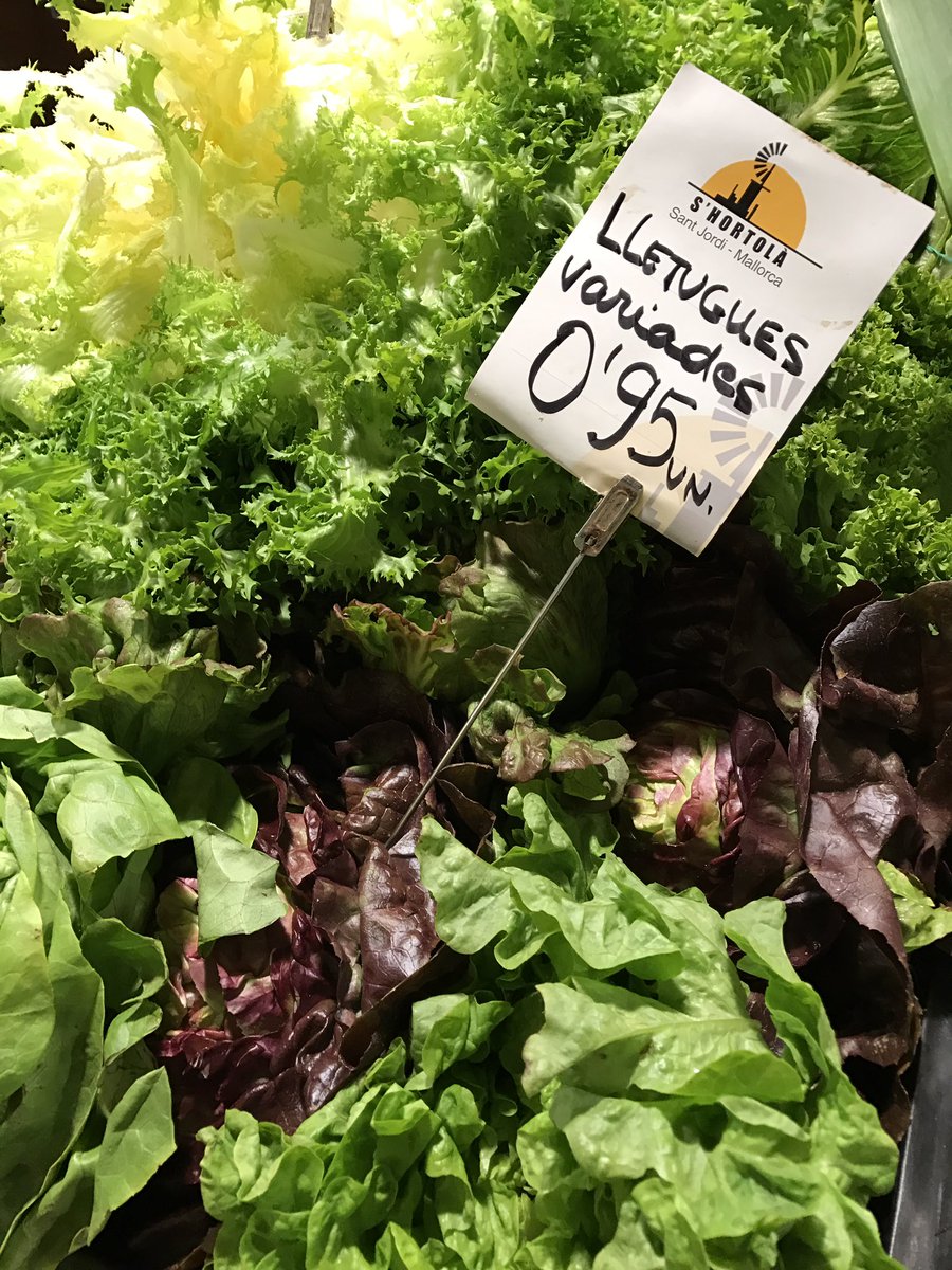 #endivia i #lletuga al <a href="/mercatdinca/">ᗰᗴᖇᑕᗩ丅 ᗪ’Ꭵᑎᑕ🏃‍♀️</a> <a href="/MercatOlivar/">Mercat de l'Olivar</a> i <a href="/MercatSantaCata/">MercatSantaCatalina</a> <a href="/AldiaIB3/">Al Dia IB3</a> <a href="/RafelGallego1/">Rafel Gallego</a> <a href="/DelCampALaMar/">Del Camp a la Mar</a> <a href="/TuitInca/">Tot d'Inca</a> #mallorca