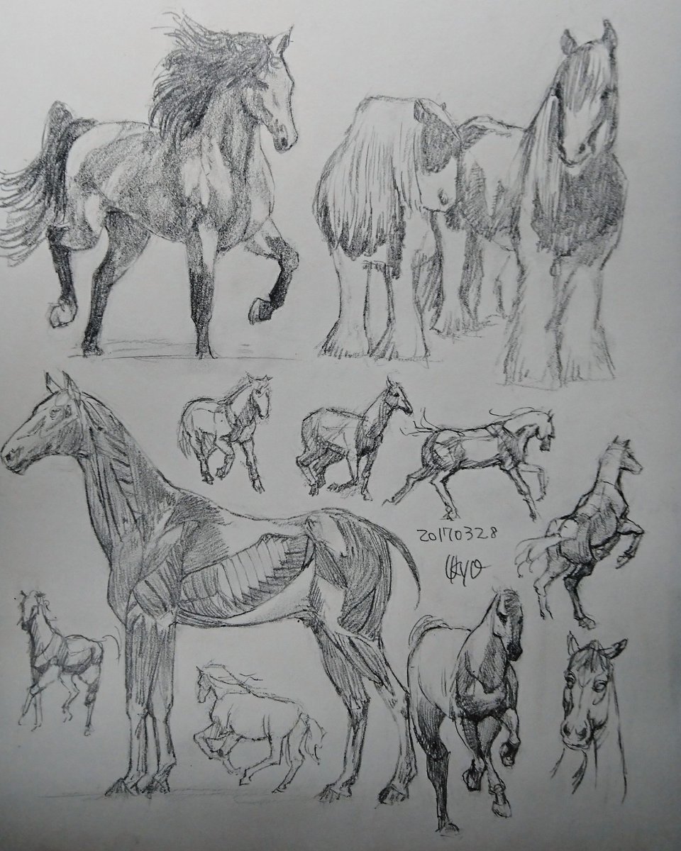 Kagetsu Ukyo 卯京 華月 Auf Twitter 今日の落書き 馬づくし 馬の色々な描き方の練習 骨格も描きたいし筋肉ももっと練習したいな 落書き 鉛筆画 練習 息抜き 素描 一日一画 今日の落書き 脊椎動物 哺乳類 動物 アニマル けもの 馬 うま