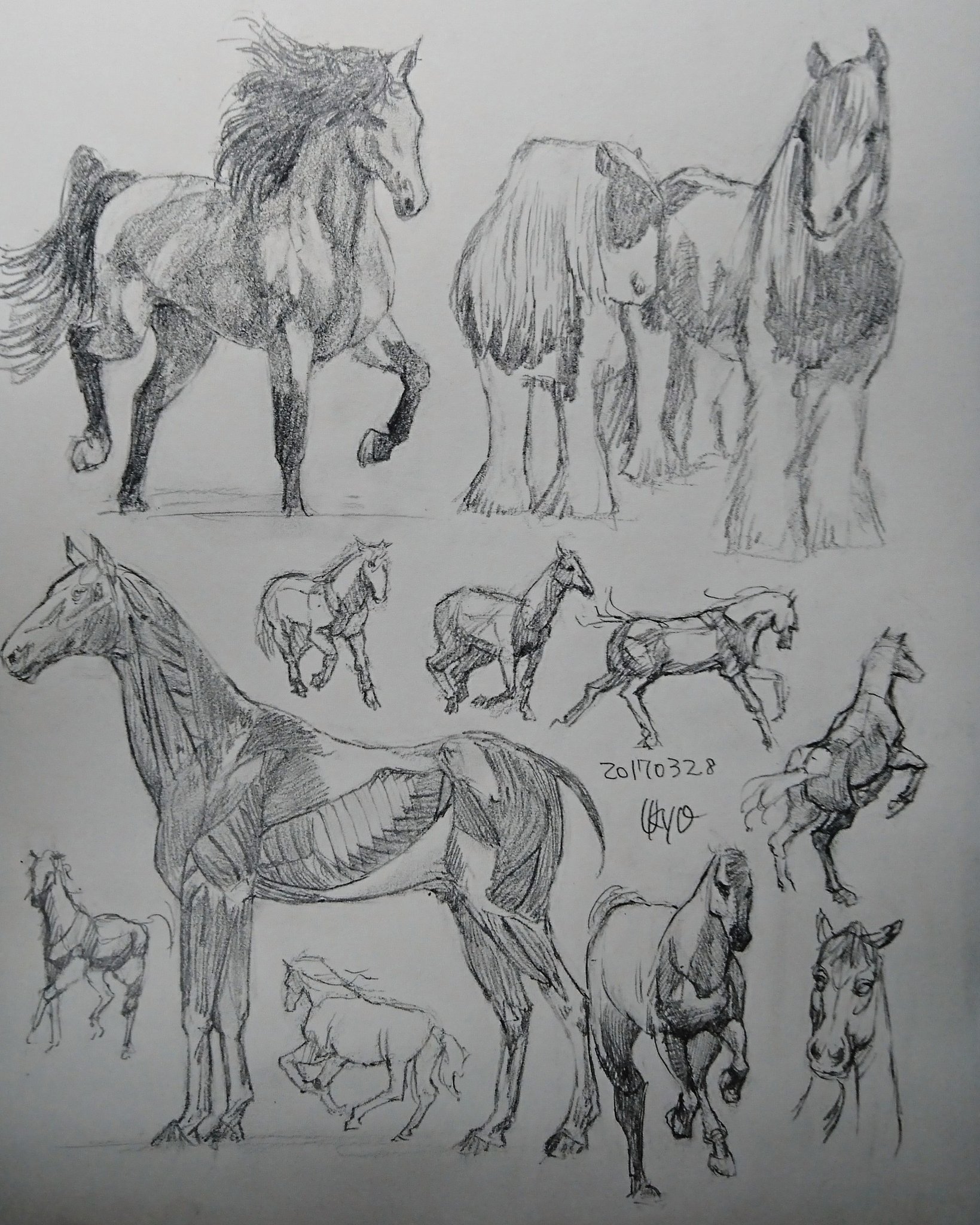 Kagetsu Ukyo 卯京 華月 Auf Twitter 今日の落書き 馬づくし 馬の色々な描き方の練習 骨格も描きたいし筋肉ももっと練習したいな 落書き 鉛筆画 練習 息抜き 素描 一日一画 今日の落書き 脊椎動物 哺乳類 動物 アニマル けもの 馬 うま T