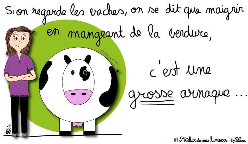 Téléchargement gratuit Images Latelierdemeshumeurs On Twitter Bonjour Voila Ce Que J Appelle le plus cool salutations