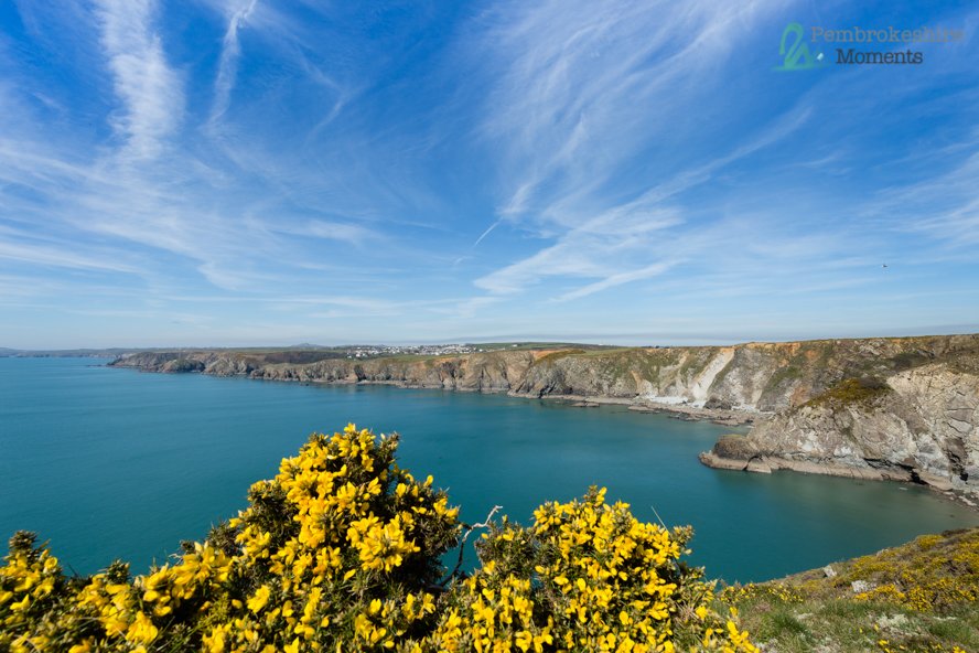 Solva Challenge walk - check out walking book on my website for route #pembroekshire