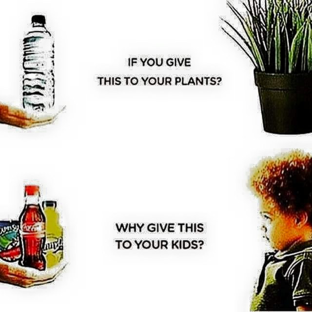 LearnNutrition's tweet photo. Back to basics - water and food in its natural state. https://t.co/4p62mRg8Un