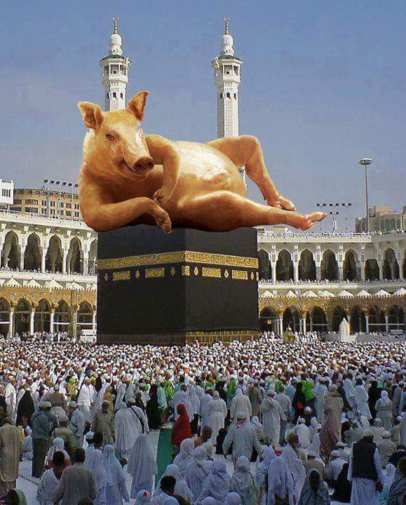MccFlip's tweet photo. Muslims God  Allah https://t.co/8McHJEL1Ip