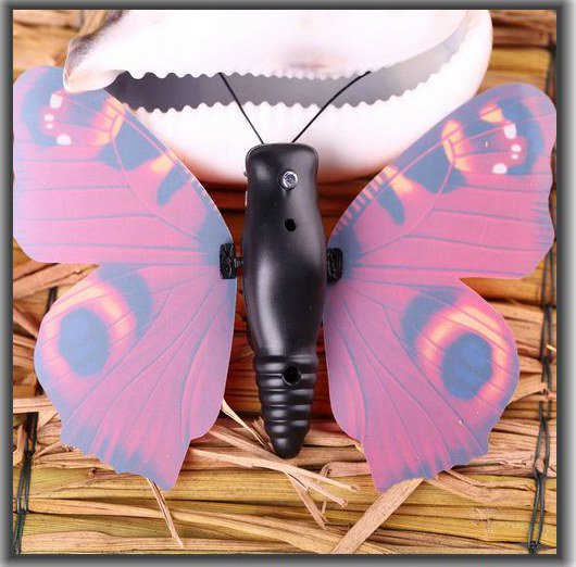 maqingchang's tweet photo. Solar toy butterfly. Best toy for kids. (Ealiest manufacturer of solar products in China). 
#SolarToy, #KidsGift, #KidsToy, #promotion https://t.co/9UeLnYGsAv