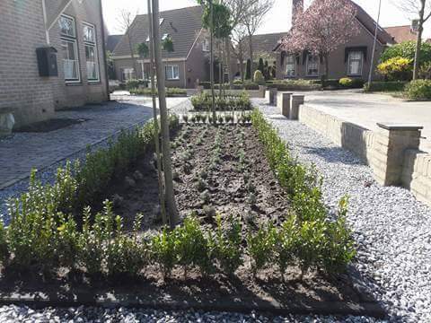 vlaschaar's tweet photo. Tuin opgeleverd, klant tevreden. https://t.co/FnyYzXcwHA