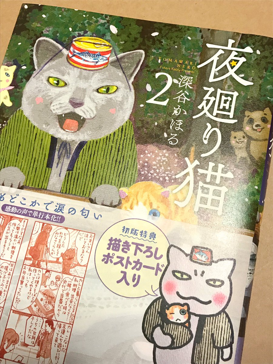 夜廻り猫、2巻もとても素晴らしい。泣きながらゆっくり大事に読んでいる 