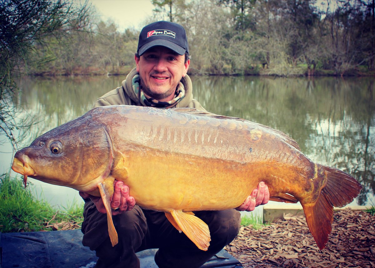 monkeyclimber1's tweet photo. Check out this sub missile from Etang Du Manoir at 33lb 10oz. #carpy #eclipsebaits #advancedanglingsolutions #etangdumanoir https://t.co/xbiKu8LcRH