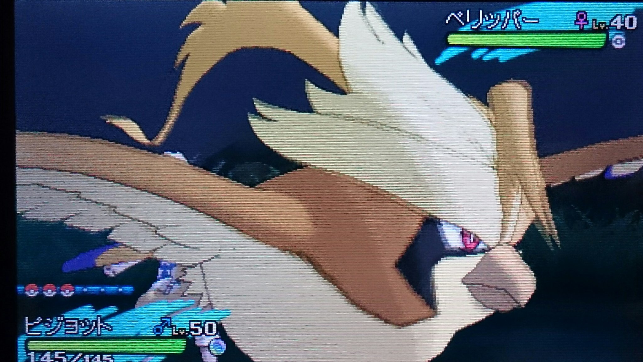 ザキンクス Su Twitter 解禁されたこいつらの 色メガシンカ金色でほんとカッコいいな ポケモン色違い メガピジョット メガハガネール