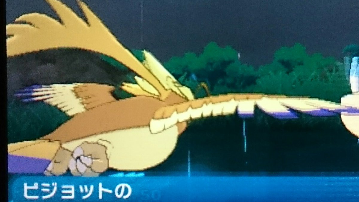 ザキンクス 解禁されたこいつらの 色メガシンカ金色でほんとカッコいいな ポケモン色違い メガピジョット メガハガネール T Co Joq7qsosiu Twitter