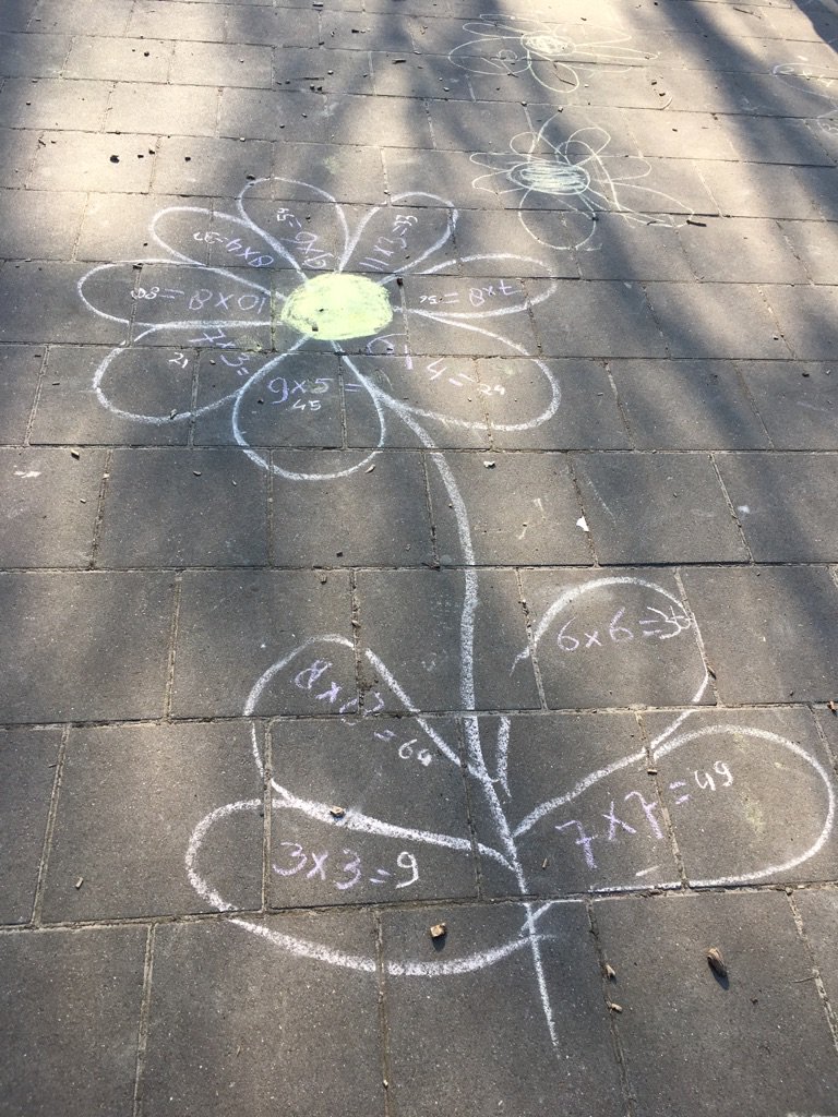 Bron: OBS De Springschans