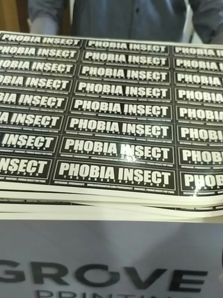 phobiainsect tweet picture